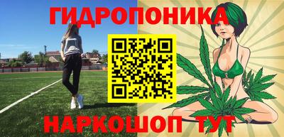 соль ск Можга