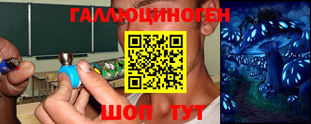 Псилоцибиновые грибы Psilocybine cubensis Топки